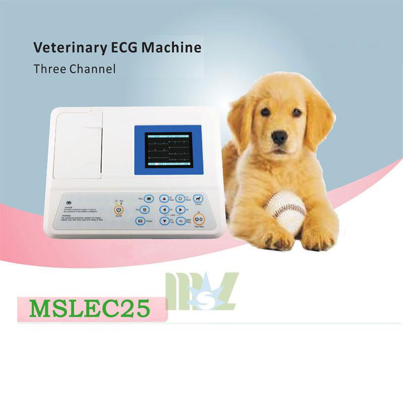 Portable three channel veterinary ecg machine for sale-AMEC25