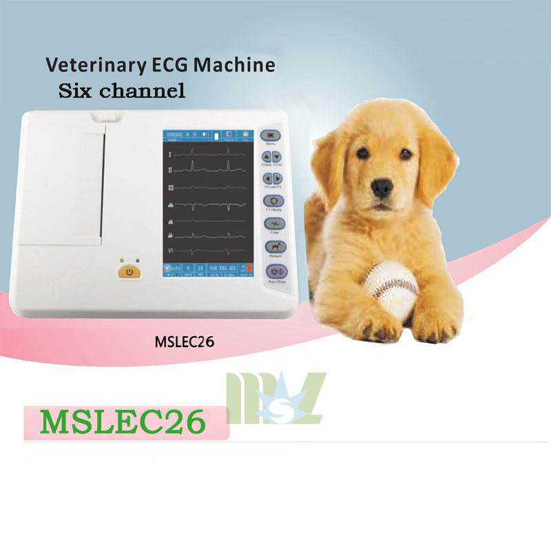 Portable 6-lead channel veterinary ecg machine for sale-AMEC26