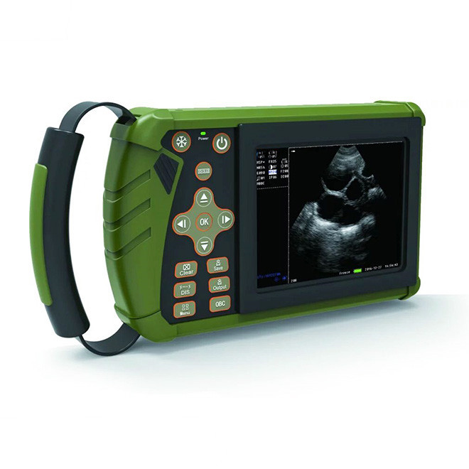 Ultrasound during pregnancy : veterinary ultrasound machine AMVU23