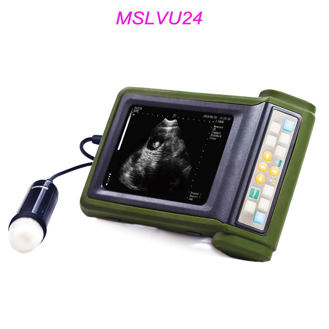 Dokter Hewan Menggunakan Pemindai Ultrasound Diagnostik Sektor Mekanik AMVU24