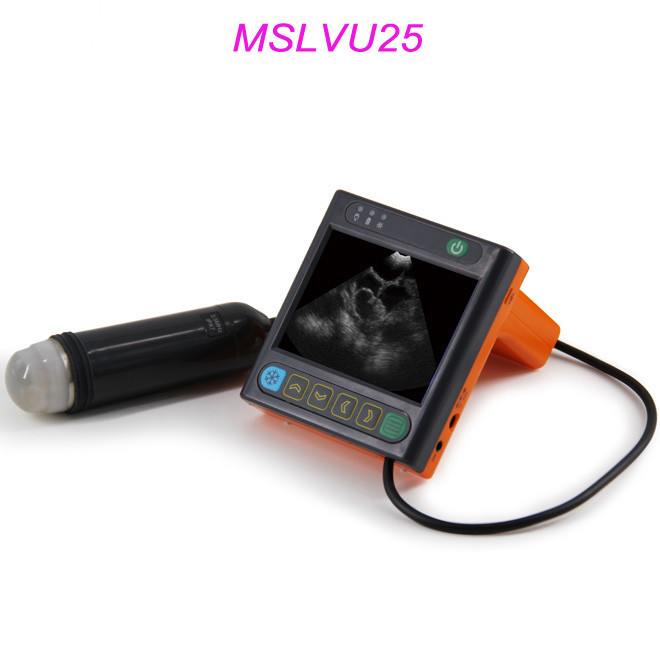 Full digital ultrasonic diagnostic instrument for vet AMVU25