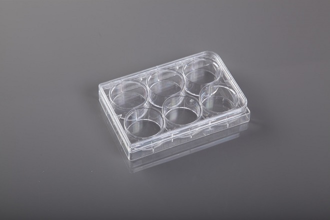 All kinds of elisa plate | cell culture plate