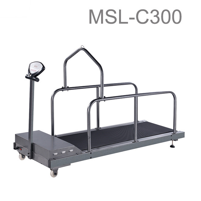 Cheap dog treadmill AM-C300 – Medsinglong