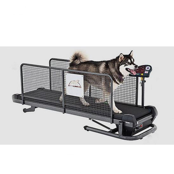 Small dog treadmill AM-C380 – Amain