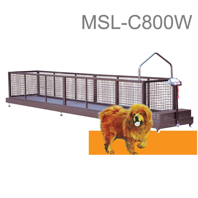 Cinta de correr eléctrica LED para perros AM-C800W – Medsinglong