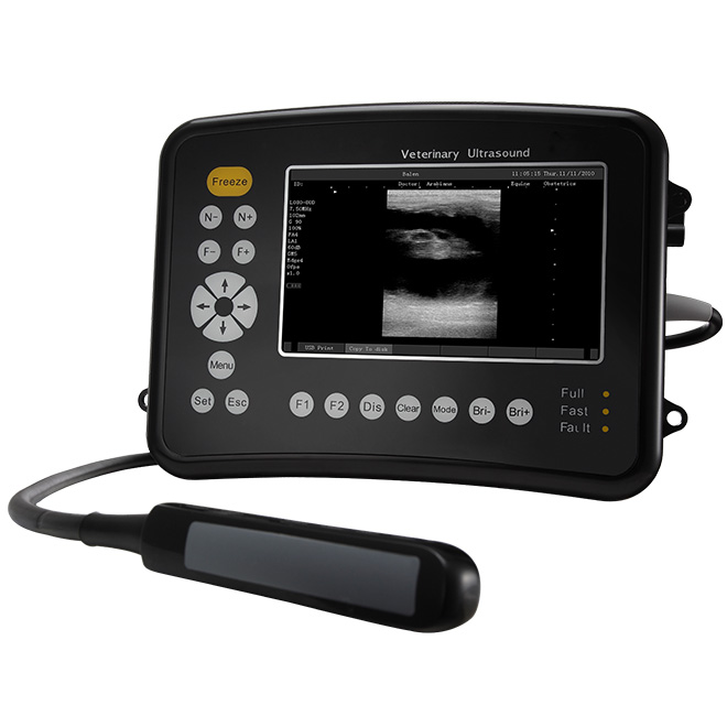 Dog ultrasound machine AMVU26