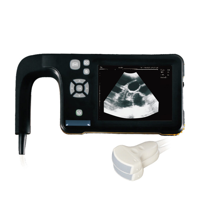 Cheap Dog ultrasound machine AMVU32 for sale