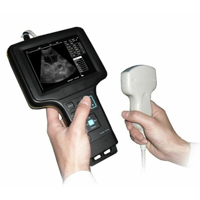 Makinë portative me ultratinguj veterinare AMVU31
