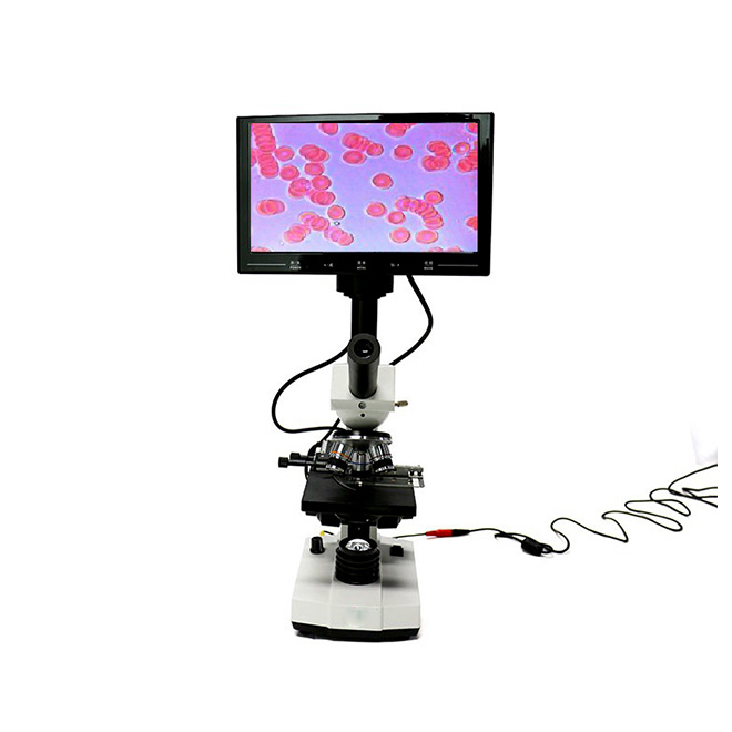 Cheapest high image quality Blood analysis microscope AMYZ11
