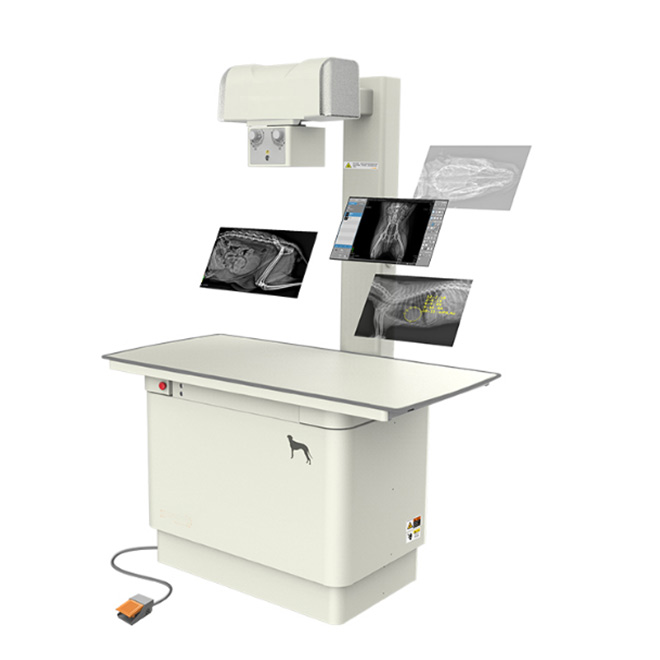 Veterinary  Digital Radiography Machine System AMVX28