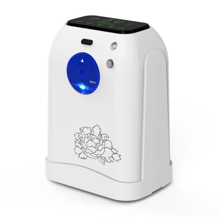 Home oxygen concentrator AMZY30