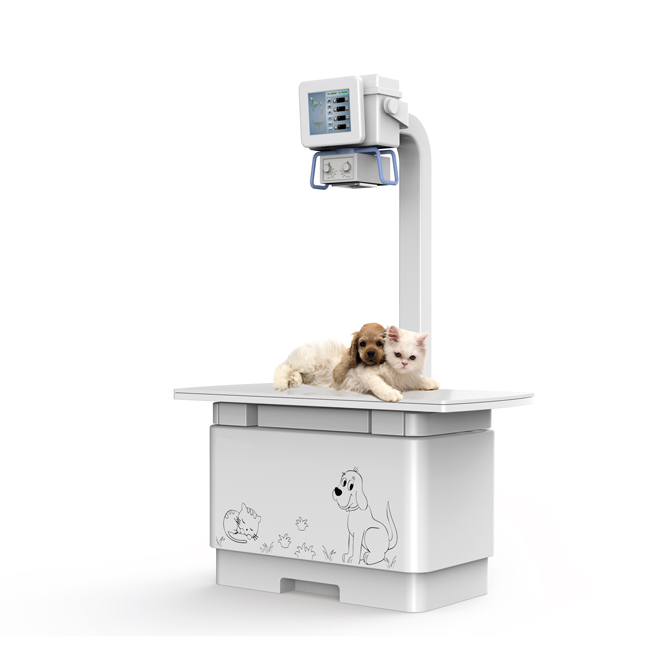 Professional Veterinary Digital Radiography Machine AMVX19