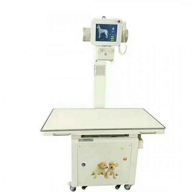 Bumili ng Digital Veterinary X-ray AMVX21