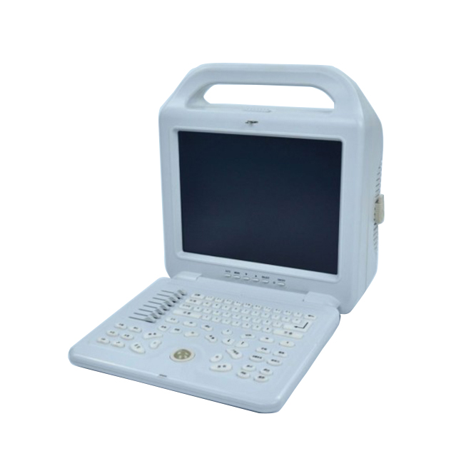 Laptop Amatungo Ultrasound Scanner AMPU56V yo kugurisha