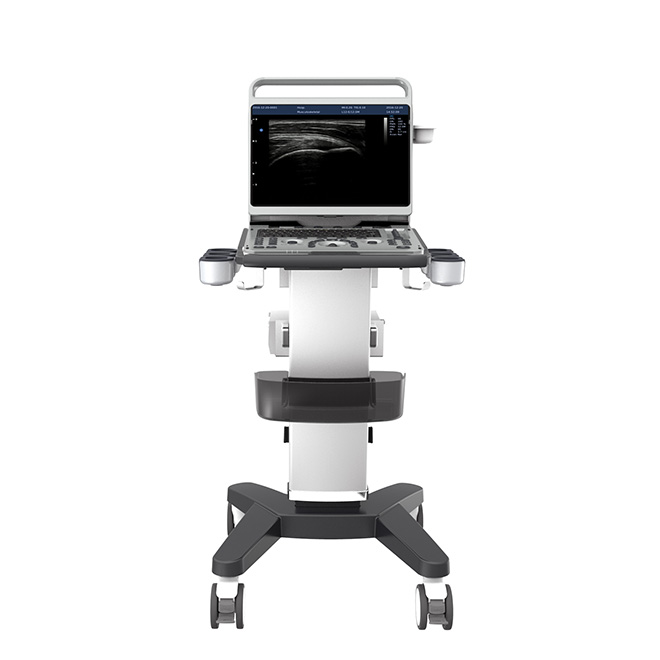 Usability efficientis Chison ultrasound apparatus EBit50Vet