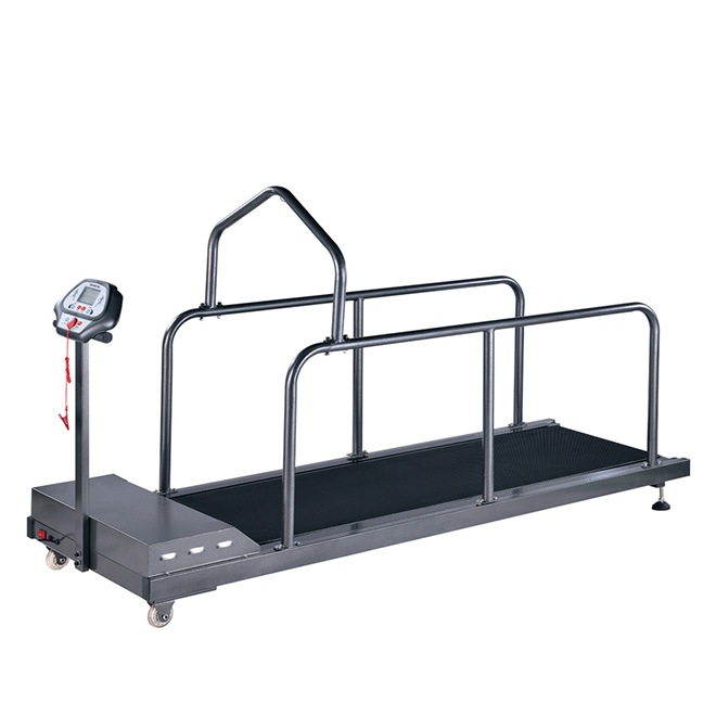 Elektryske treadmills AM-C400 foar bist