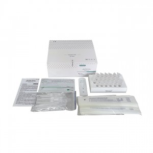 Lepu Rapid antigen test kit AMDNA10 price