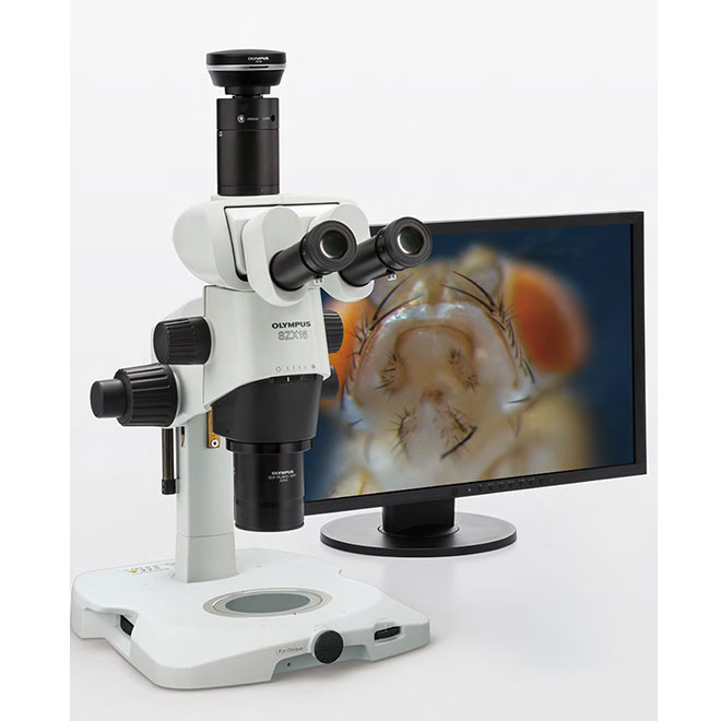 Cost-Effective Olympus Stereo Microscope Equipment SZX10 (3)