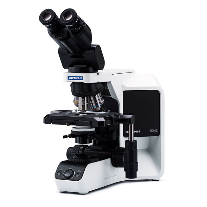 Excellent Performance Olympus System Microscope BX43 (1)
