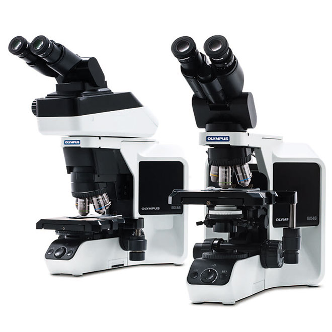 Excellent Performance Olympus System Microscope BX43 (2)
