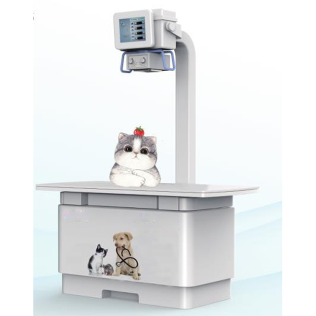 Amain High Quality Veterinary Digital Radiography X-ray
