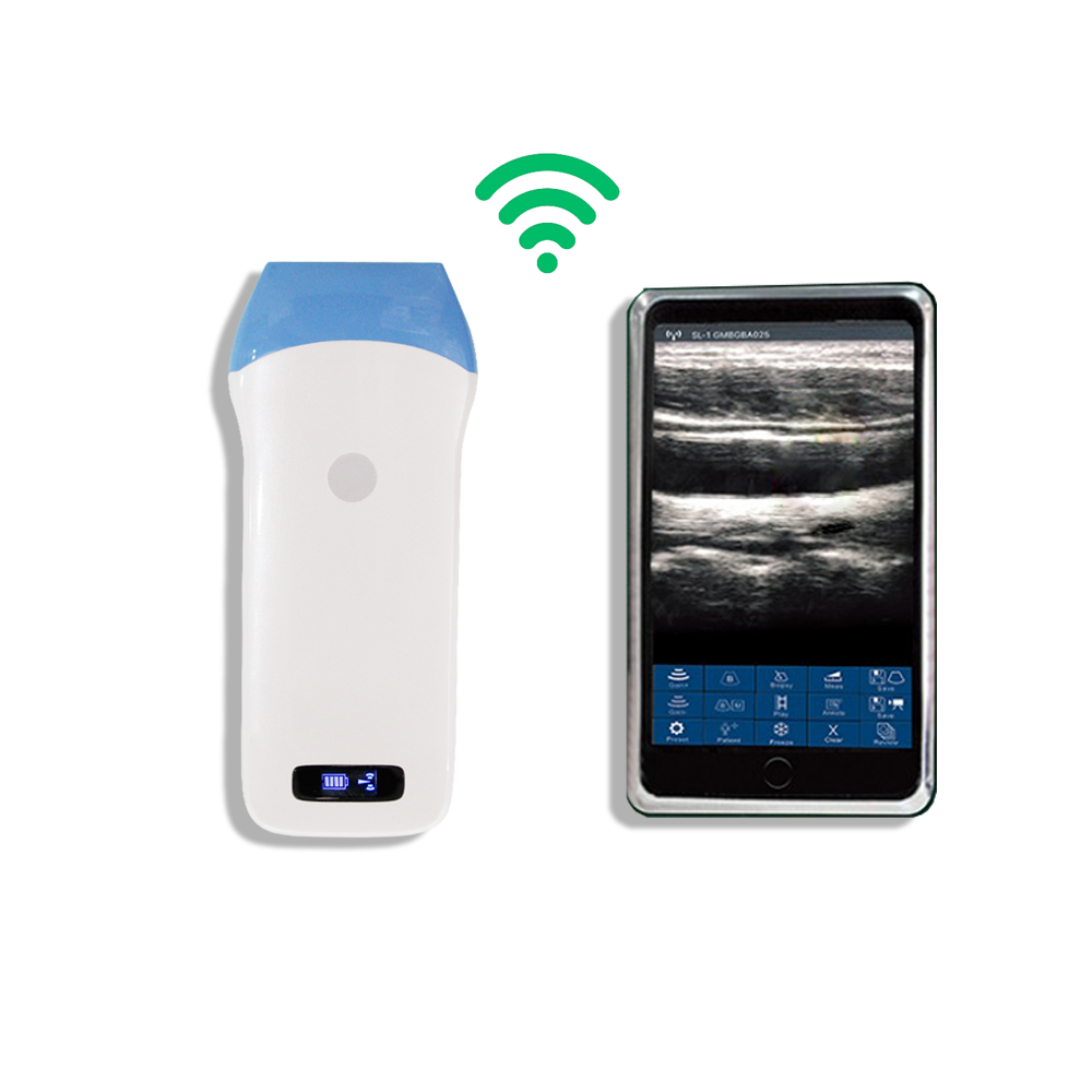 Amain MagiQ LW5 Transducteur à ultrasons sans fil de poche de diagnostic médical vétérinaire linéaire BW