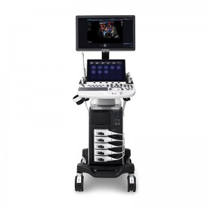 SonoScape P40 Elite ýokary öndürijilikli standart ultrases