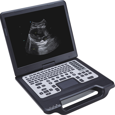 SIUI Apogee 1000V Lite lap-top medical ultrasound instruments Economical Veterinary Color Doppler for Entry Level
