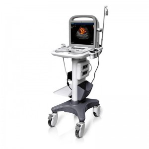 I-SonoScape S6 Cardiac kanye ne-Transvaginal Laptop Ultrasound