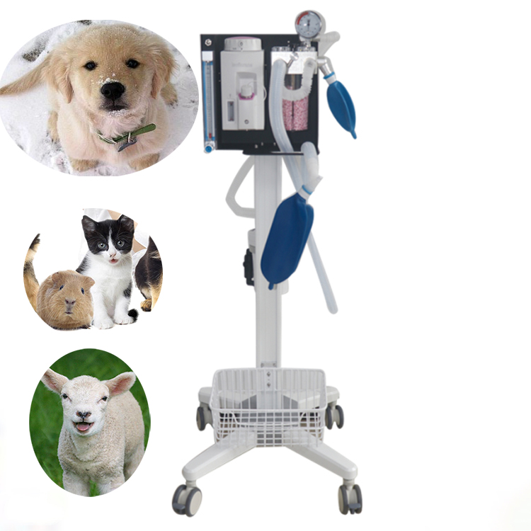 Amain ອຸປະກອນການແພດທີ່ມີຄຸນນະພາບດີທີ່ສຸດ Veterinary Anesthesia Machine AMDA300V1