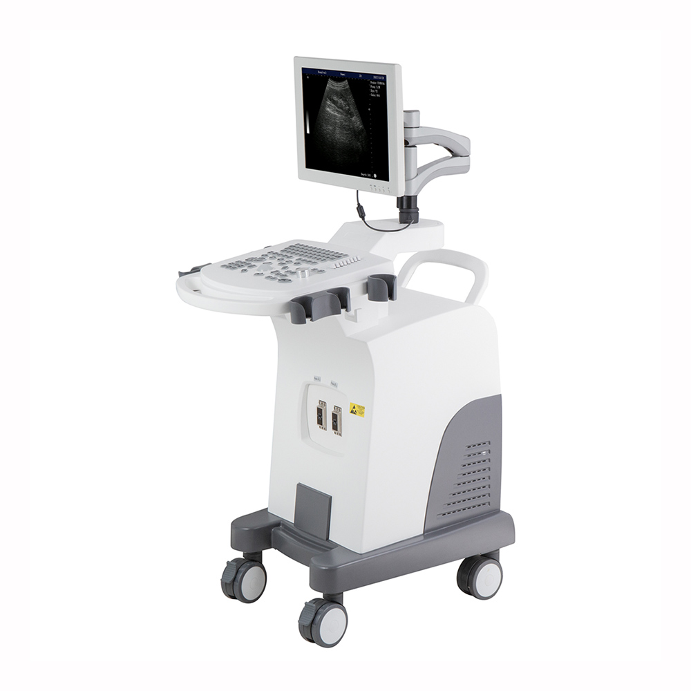 Amain OEM/ODM AMDV-5000 trolley all digital ultrasound with pseudo-color