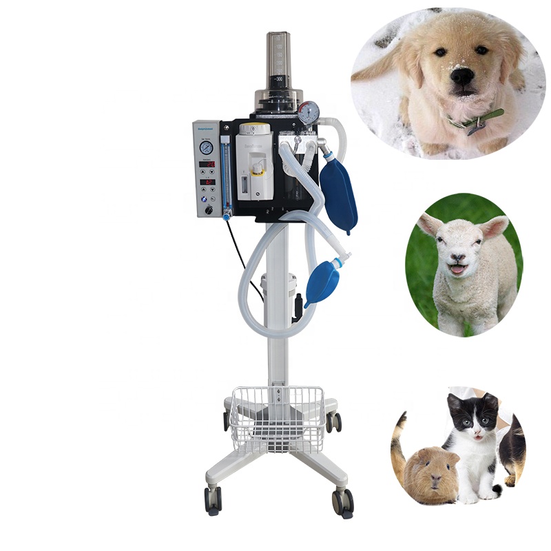 Amain AMDA300V3 Light and portable Veterinary anesthesia machine with ventilation