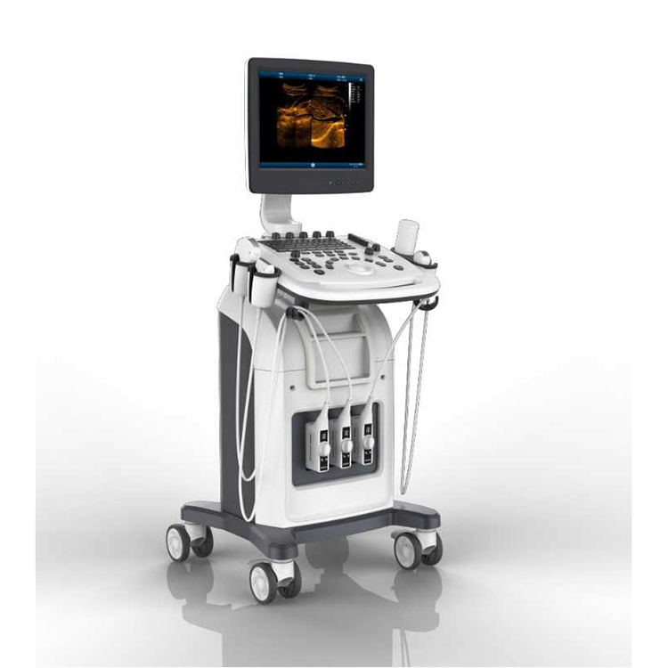 ZONCARE ZQ-9902 Medical Ultrasound Instruments with B/W Trolley Ultrasound System