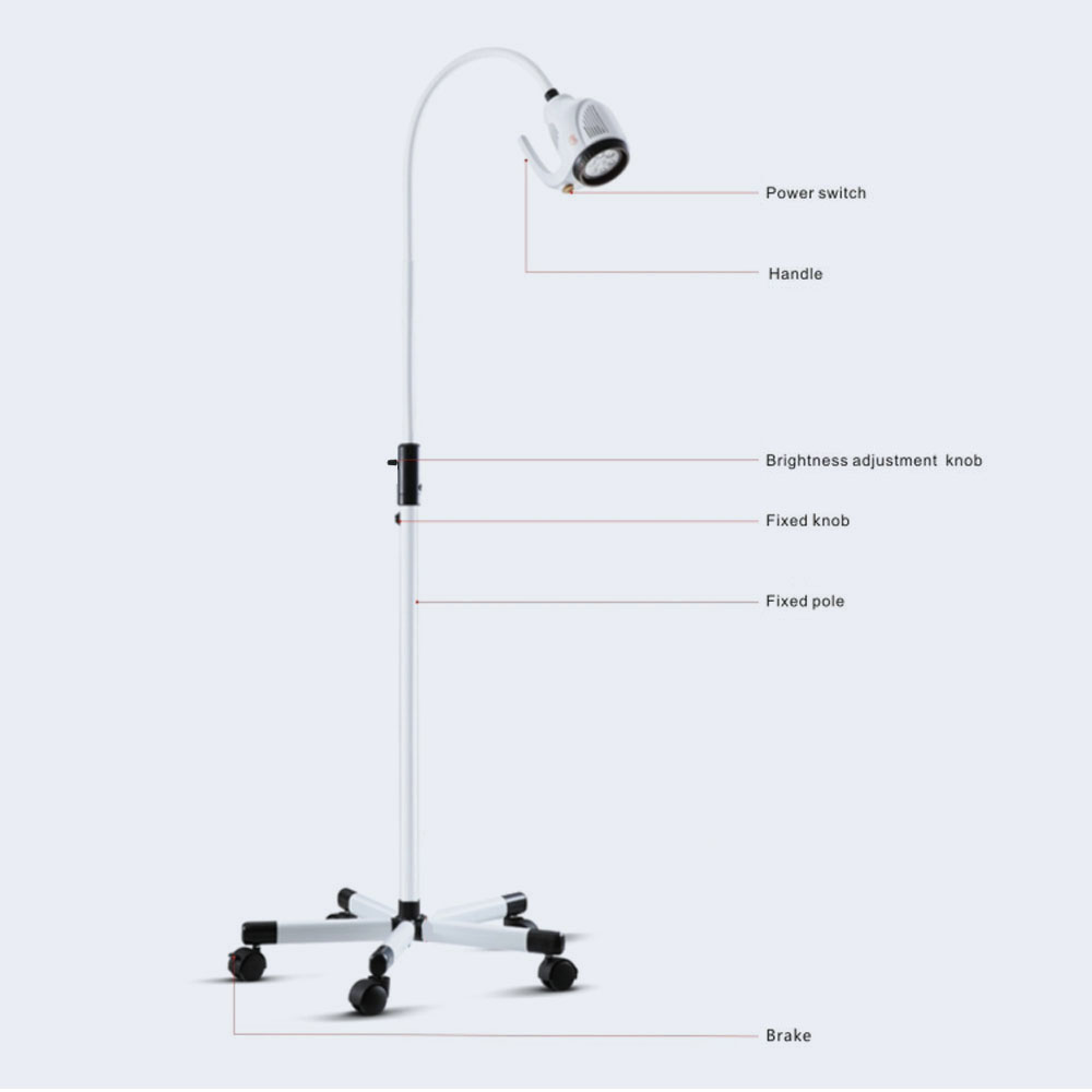AMAIN OEM/ODM AM-2021W-1 21W LED Mobile medical examination light adopt 7pcs 3W international brand LED bulb as light source