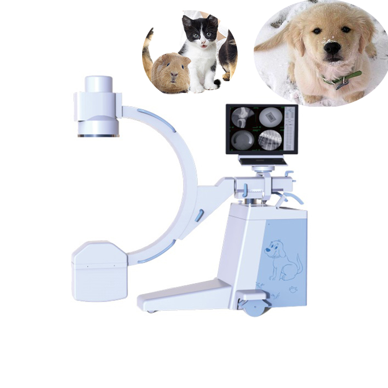 Amain OEM / ODM Vet Animal C-арм X Ray санариптик радиография системасы