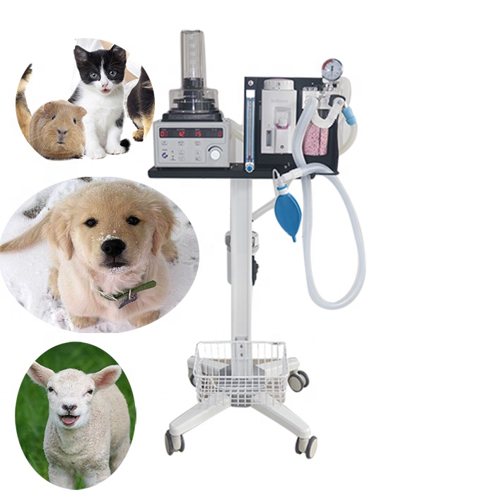 Amain OEM/ODM AMDA300V5 LCD screen adjustable Veterinary anesthesia respirator machine