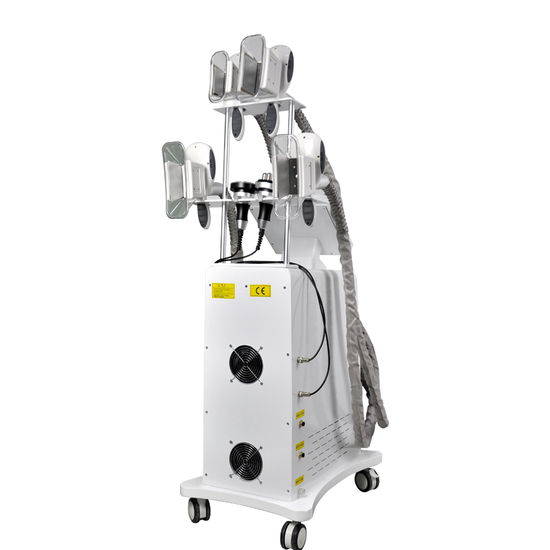 2022 the newest product AMAIN AMRL-LH05 lipo laser Body Slimming fat loss freezer Lipolysis Cryotherapy weight reduction Machine