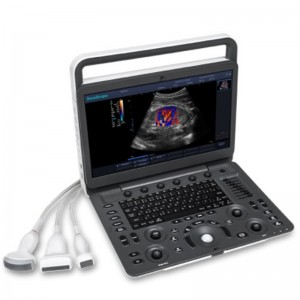 Profesjonalny sprzęt medyczny do laptopa Sonoscape E3