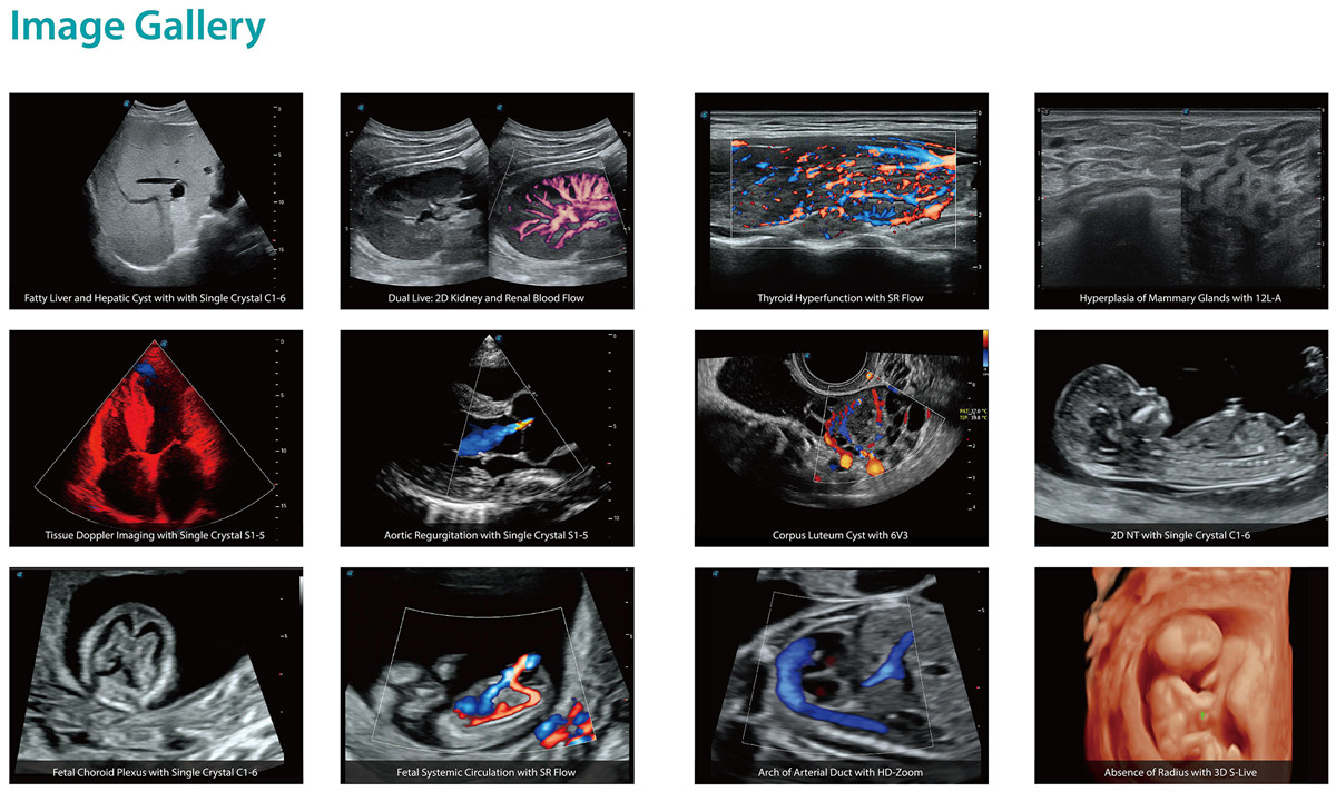 He57335fd6aef4a51a466b4a5a7a5f66dM(1)