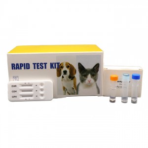 Комбиниран брз антигенски тест со висока точност AMDH46B