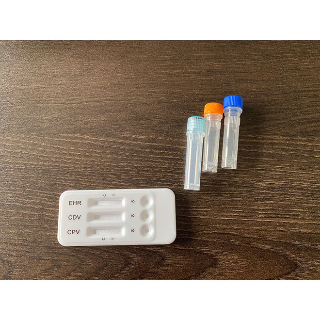 High accuracy antigen combo rapid test AMDH46B (2)