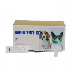 Onsichtbar Rapid Test Kassett AMDH47B