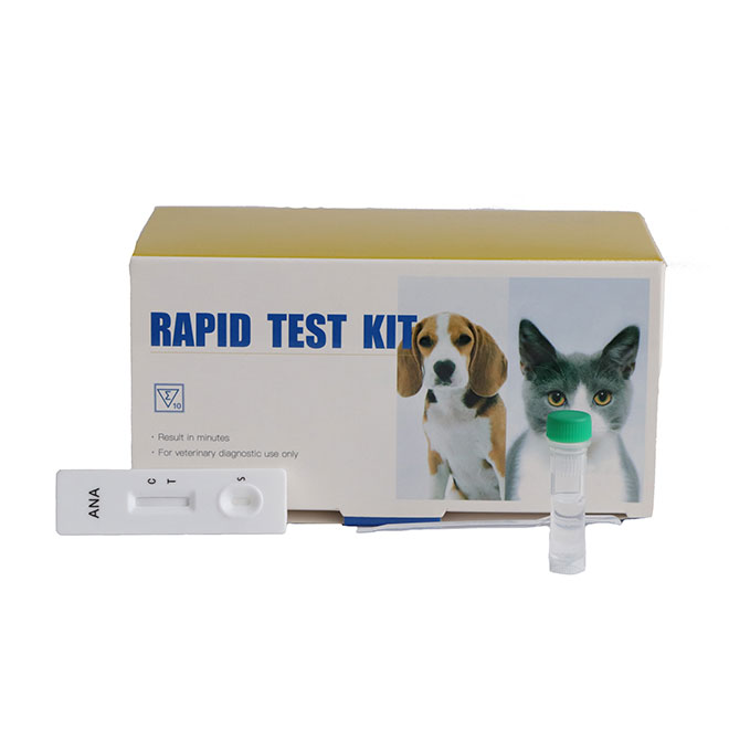Invisible Rapid Test Cassette AMDH47B (1)