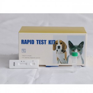 Invisible Rapid Test Cassette AMDH47B