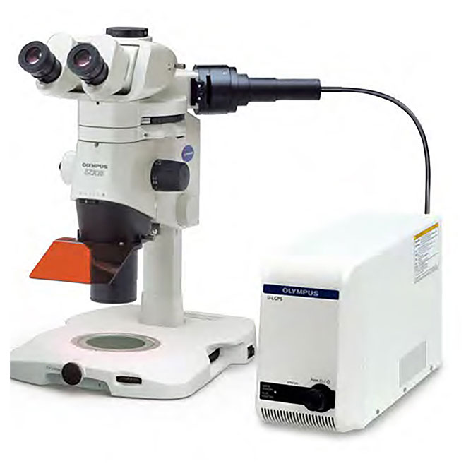 Various Uses Olympus Stereo Microscope System SZX16 (5)